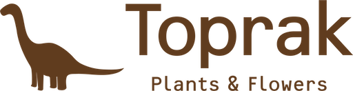 Toprak Plants & Flowers