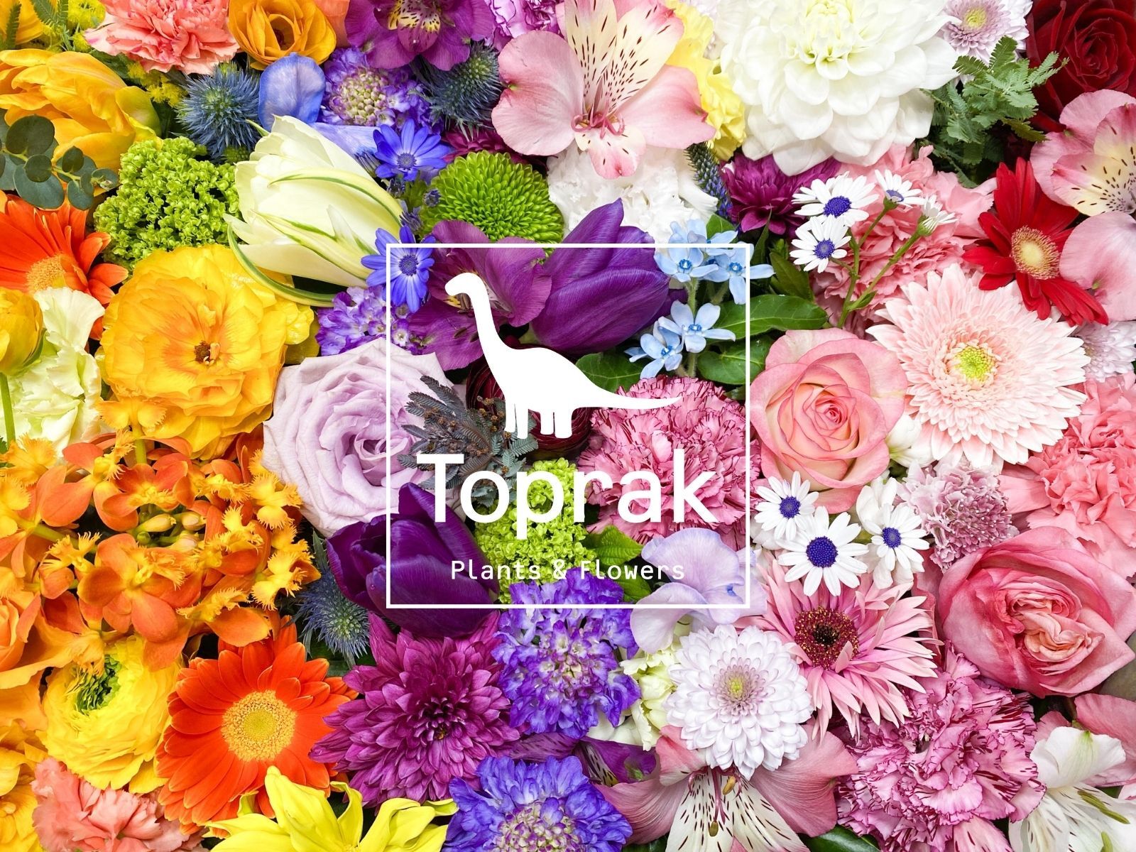 Toprak Plants & Flowers